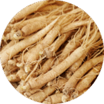 Extracto de ginseng