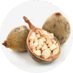 Aceite de babasú