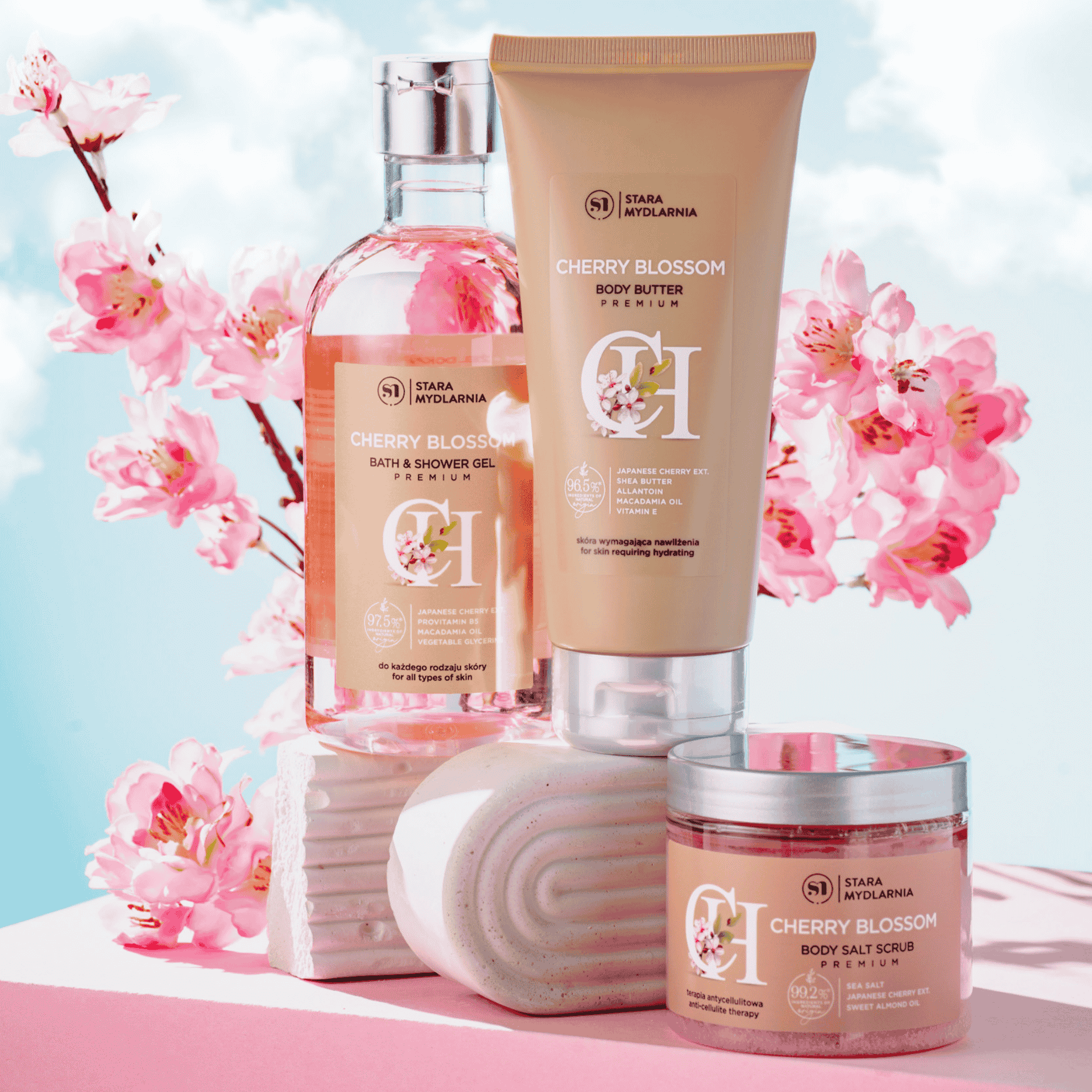 photo cherry blossom