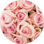 rosas